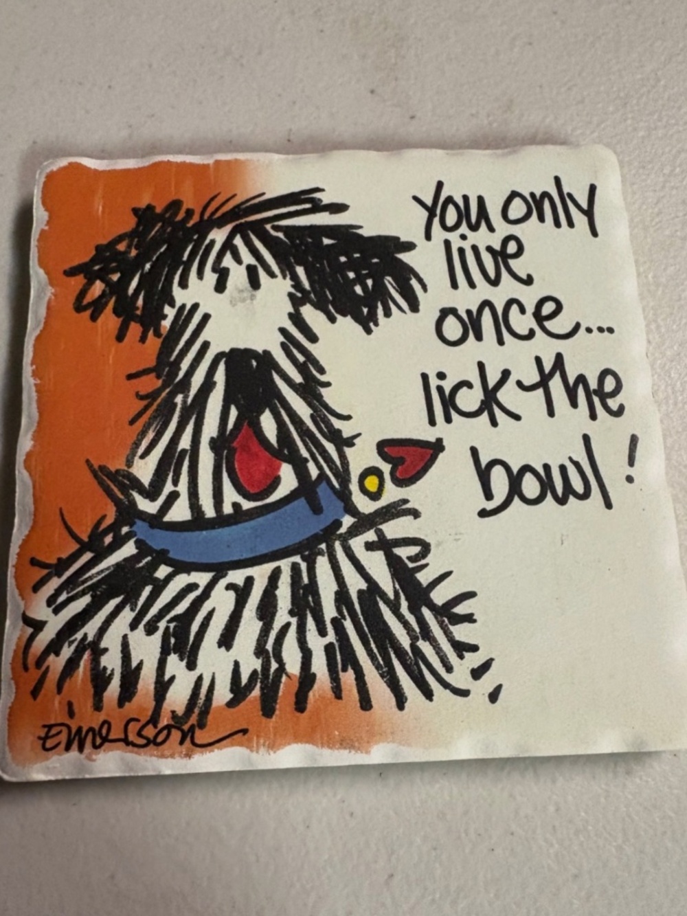 Dog Themed Tumbled Stone coaster “you only live once, lick the bowl”
